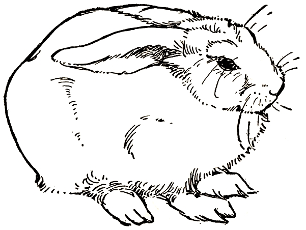 free black and white easter bunny clipart - photo #32